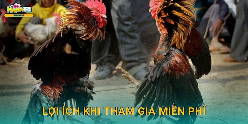 Lợi ích khi tham gia miễn phí