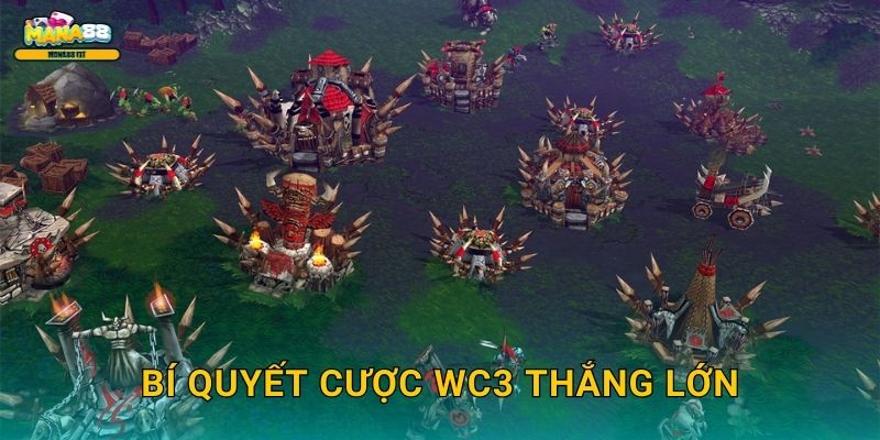 Bí quyết cược WC3 thắng lớn