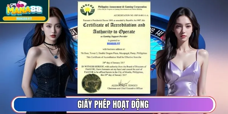 Giấy phép hoạt động